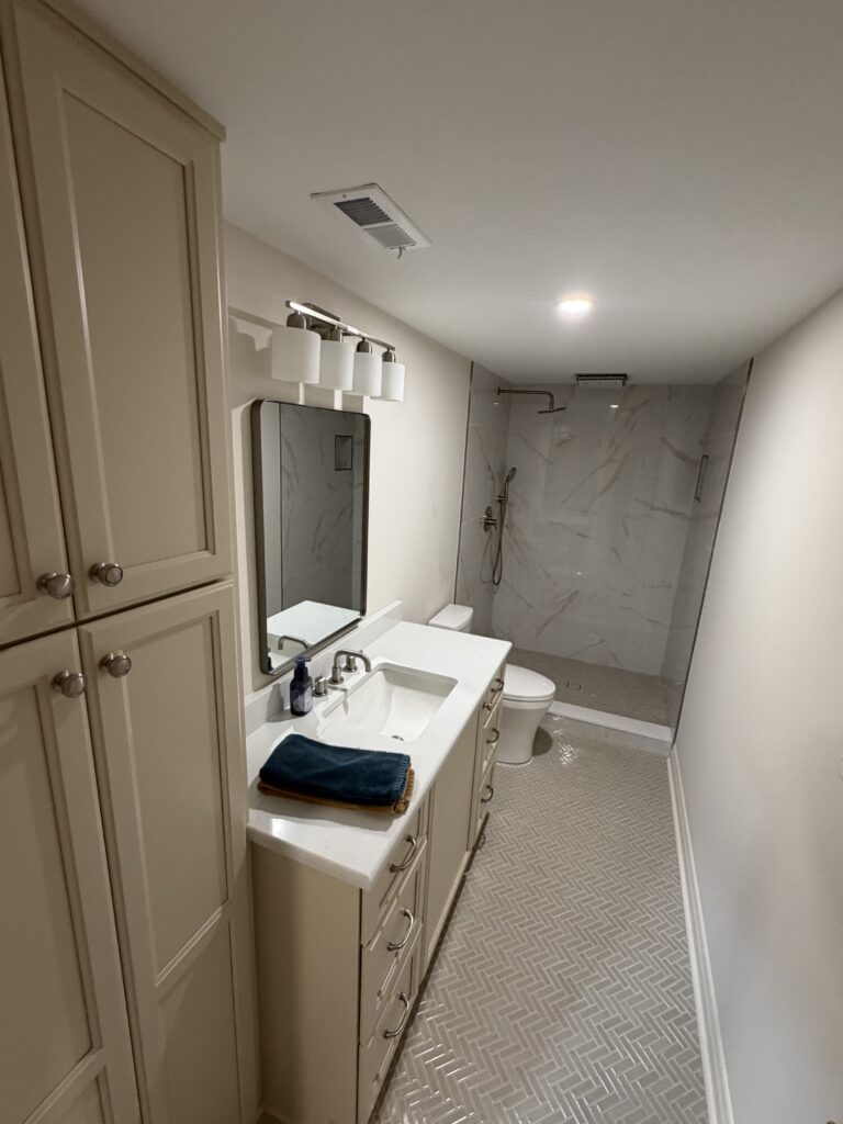basement bathroom with shower