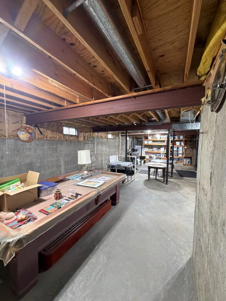 unfinished basement (before)